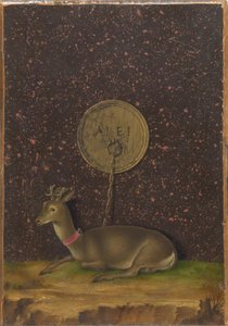 Portrait of Alvise Contarini; (verso) A Tethered Roebuck