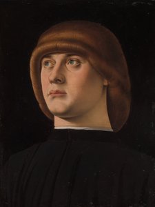 Portrait of a Young Man