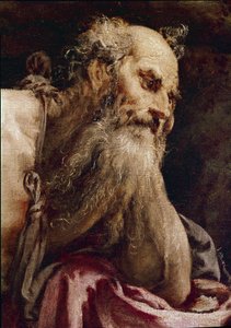 Saint Jerome in Meditation