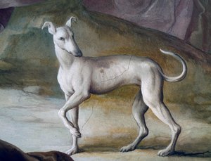 Dog (detail) by Jacopo Guarana