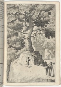Beech Tree with the Bell (plate X) by Jacopo Ligozzi