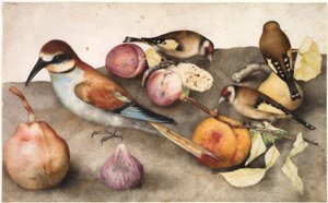 Still Life with Birds and Fruit by Jacopo Ligozzi