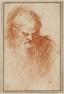 Head of a Bearded Man