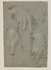 Three Studies of a Right Hand by Jacopo Palma