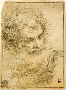 Head of Bearded Old Man (recto); Decorative Sketch of Flower and Leaves (verso) by Jacopo Palma il Giovane