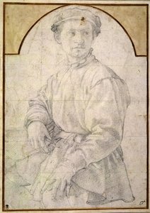 A seated youth wearing a cap by Jacopo Pontormo