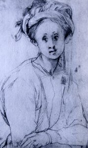 Study of a Young Girl by Jacopo Pontormo