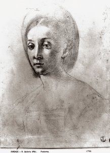 Head of a Woman by Jacopo Pontormo
