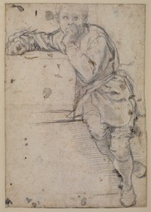 Seated youth by Jacopo Pontormo