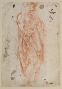 Study for Saint Jerome by Jacopo Pontormo
