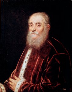 Portrait of Venetian Senator (Jacopo Robusti dit Tintoretto)