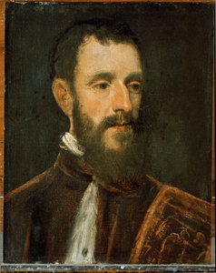 Portrait of a Procurator