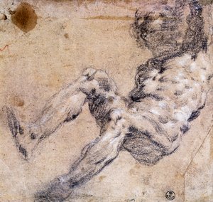 Study of male nude