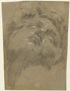 Head of Giuliano dei Medici