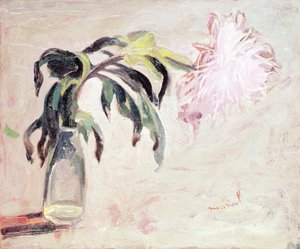 A Chrysanthemum in a Bottle by Jacqueline Marval