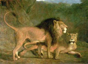 A Lion and a Lioness in a Rocky Valley