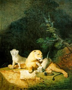 Lioness and Cubs