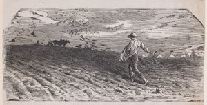 The Sower