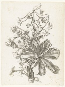 Bouquet with a tulip, a hyacinth, brodiaea, and daffodils (series title: Various Flowers Arranged in Bouquets) by Jacques Bailly (I)