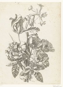 Bouquet with Peonies, a Tulip, and a Brodiaea (Diverses Fleurs mises en Boucquets)