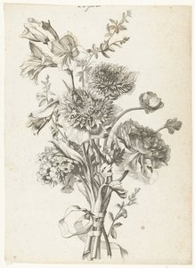 Bouquet of Anemones (Various Flowers Arranged in Bouquets) by Jacques Bailly (I)