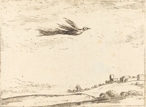 Bird of Paradise by Jacques Callot