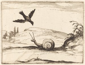 Crow and Snail by Jacques Callot