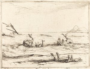 Dolphins and Crocodile