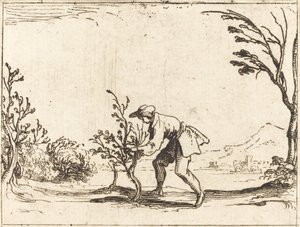 Man Cutting a Balm-Tree by Jacques Callot