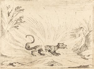 Salamander Surrounded by Flames by Jacques Callot
