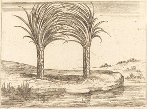 Two Palm Trees by Jacques Callot
