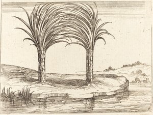Two Palm Trees by Jacques Callot