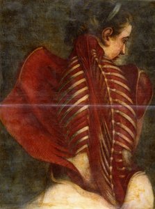 The Flayed Angel by Jacques Fabien Gautier dAgoty
