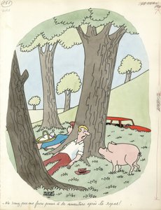 Days of France, Satirical in Colours