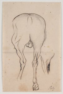 Horse Seen from Behind and a Horse Leg by Jacques Francois Joseph Saly