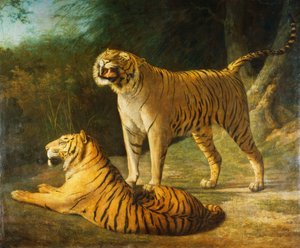 A Tiger and Tigress at the Exeter Change Menagerie in 1808