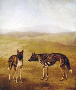 Two African Hunting Dogs by Jacques Laurent Agasse