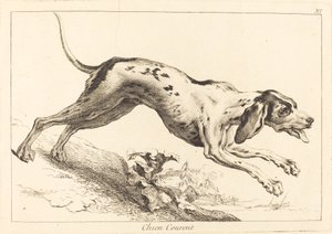 Running Hound