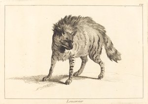Hyena