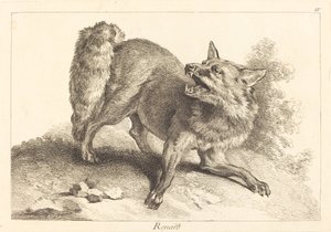 Fox by Jacques Philippe Le Bas and Jean Eric Rehn after Jean Baptiste Oudry