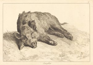 Wild Boar Lying Down, Head to the Left by Jacques Philippe Le Bas and Jean Eric Rehn after Jean Baptiste Oudry