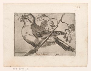Jay (Birds) by Jacques de Fornazeris (possibly)