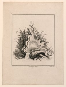 Escutcheon, from 