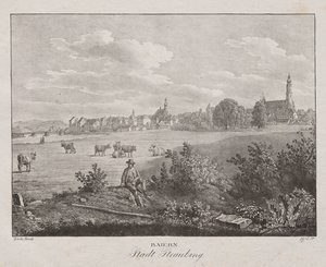 Bavaria, City of Straubing by Jakob Alt