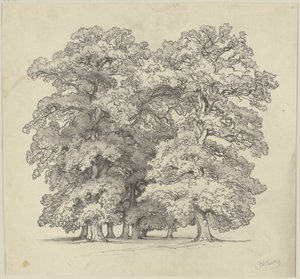 Felling of Trees