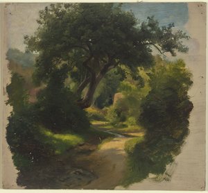 Forest Path by Jakob Becker