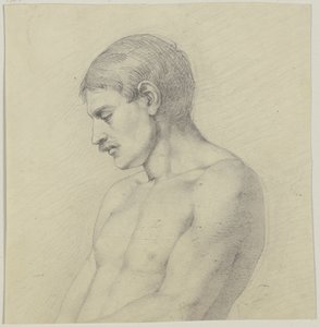 Male Half-Nude in Profile to the Left by Jakob Becker