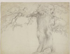 Old Tree by Jakob Becker