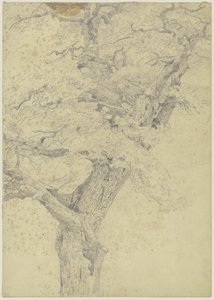 Tree by Jakob Becker