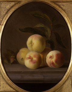 Still Life of Fruit with a Fly by Jakob Bogdani or Bogdany
